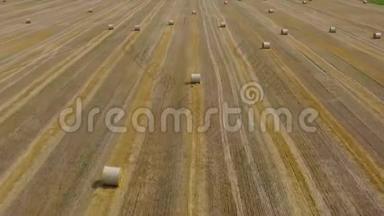 在做干草的时候飞过田野。 四周的干草堆散落在田野上